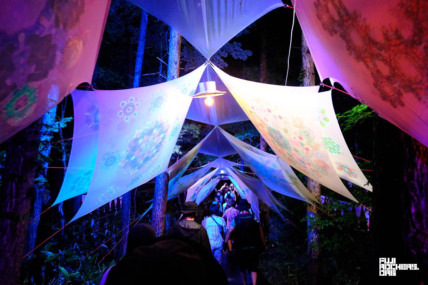 FUJI ROCK PHOTO REPORT 2025 supported by DEFENDER